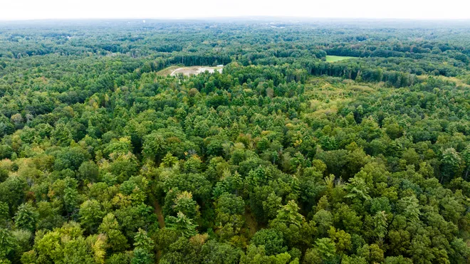 Wooded acreage purchased by Maxfield in Georgia